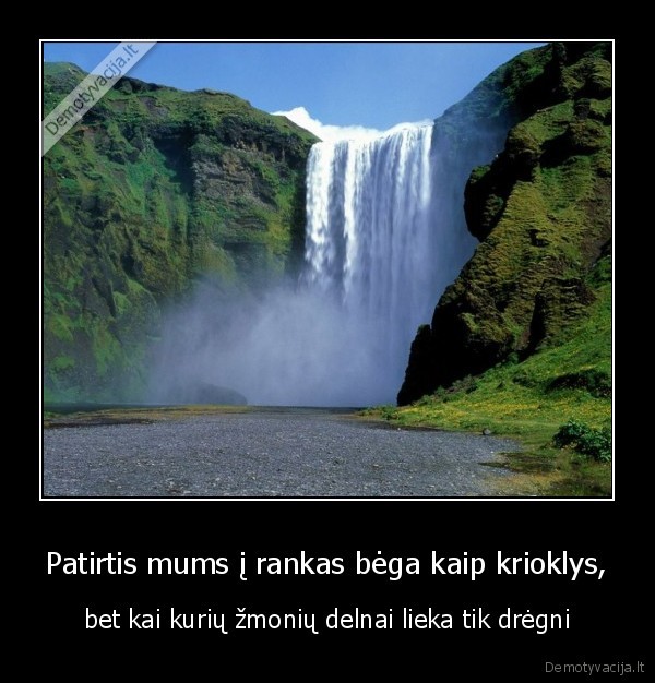 kvailiai, nepasimoko