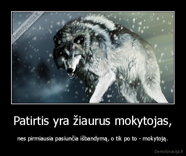 patirtis,mokytojas,ziaurumas