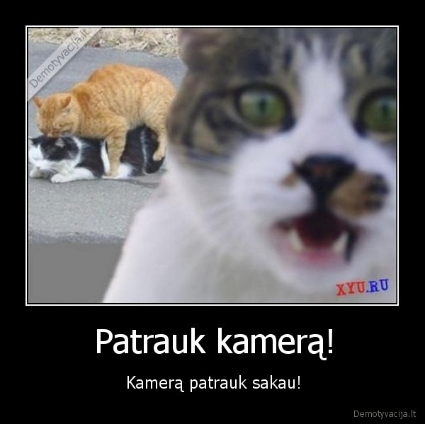 Patrauk kamerą!