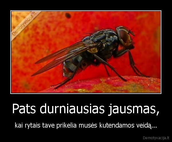Pats durniausias jausmas,