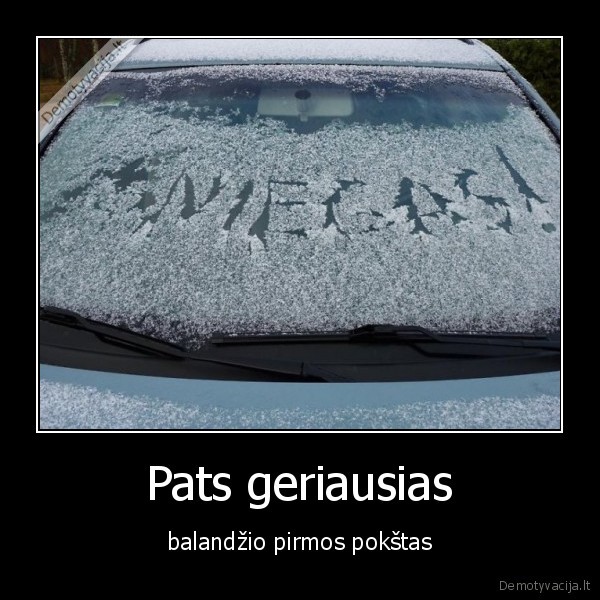 sniegas,balandzio, 1