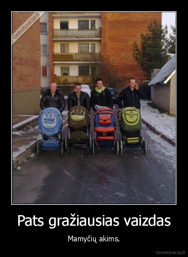 Pats gražiausias vaizdas