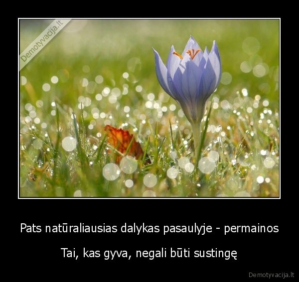 permainos,gamta,mainymasis