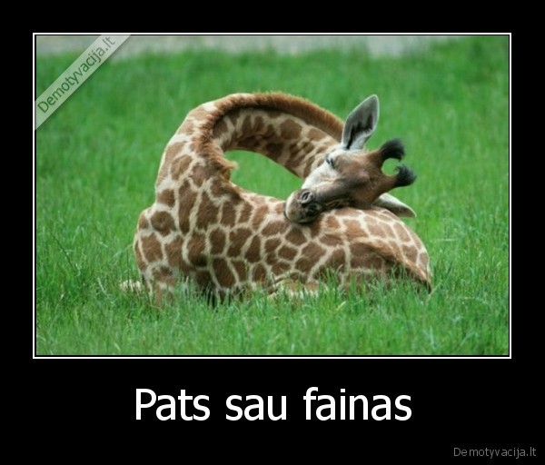 Pats sau fainas