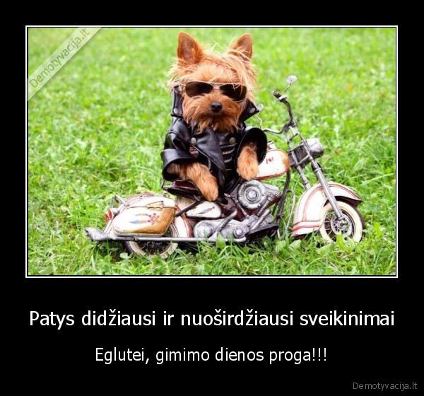 egle,gimtadienis,sveikinimai,nuosirdus,gimtadienis