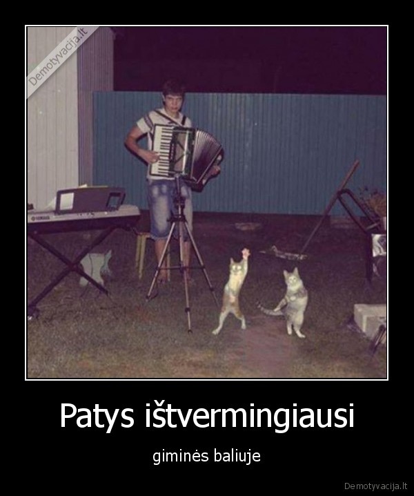 Patys ištvermingiausi