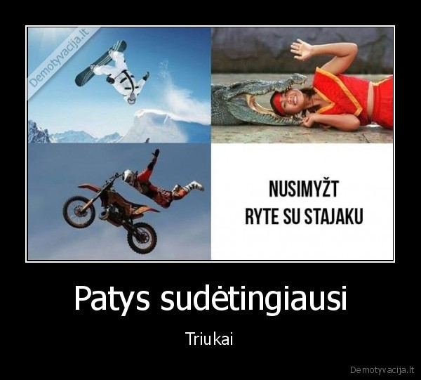 triukai,stajakas