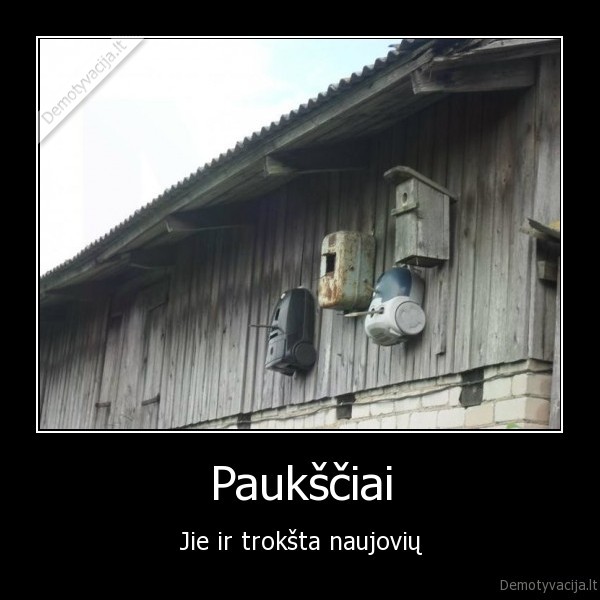 Paukščiai