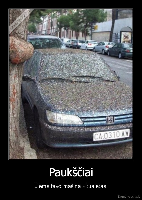pauksciai,masina,tuoaletas