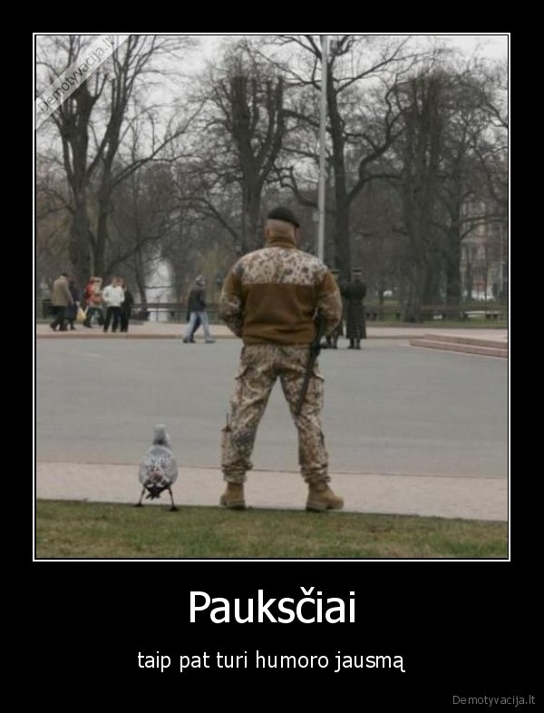Pauksčiai