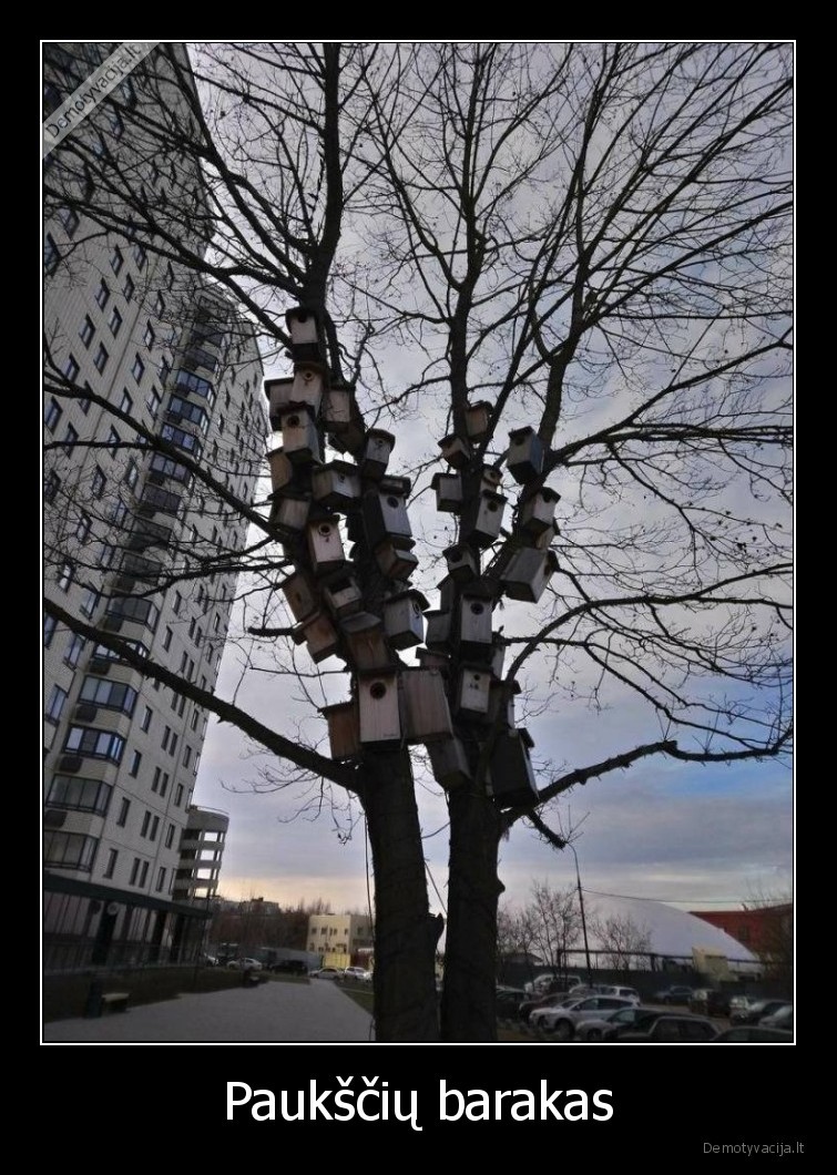 pauksciai,barakas,inkilai