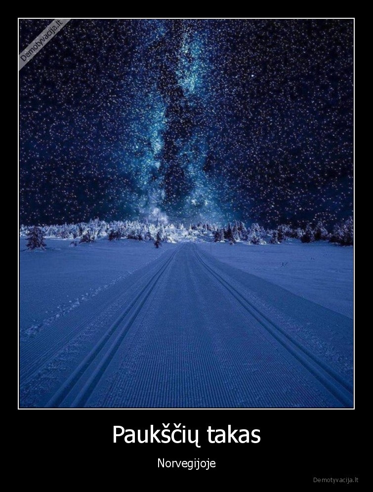 pauksciu,takas,norvegija