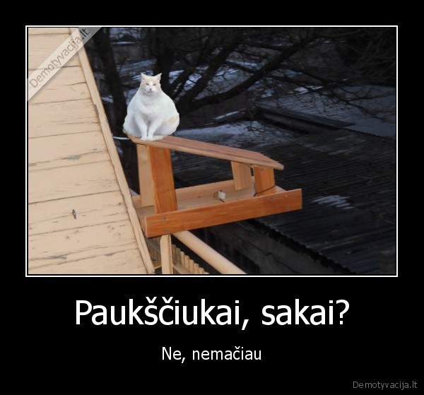 Paukščiukai, sakai?