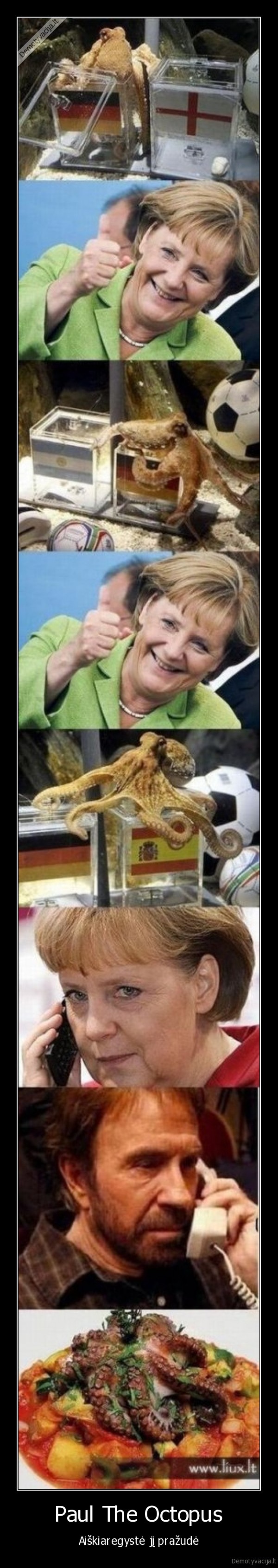 paul, the, octopus, astuonkojis, futbolas, football, soccer, germany, chuck, norris