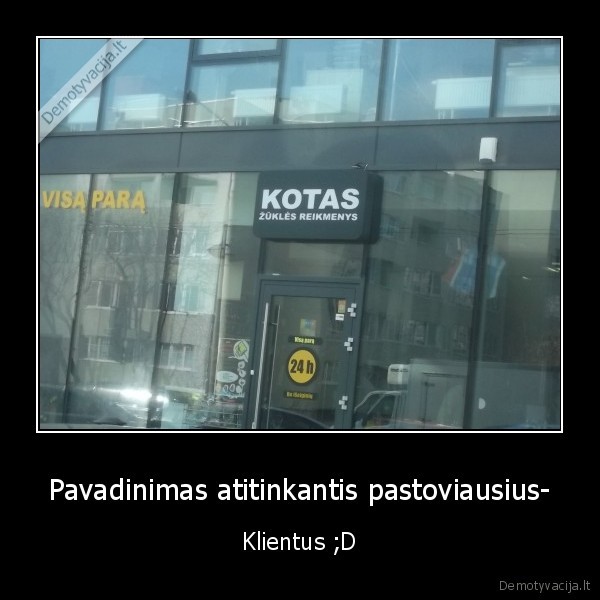 kotas