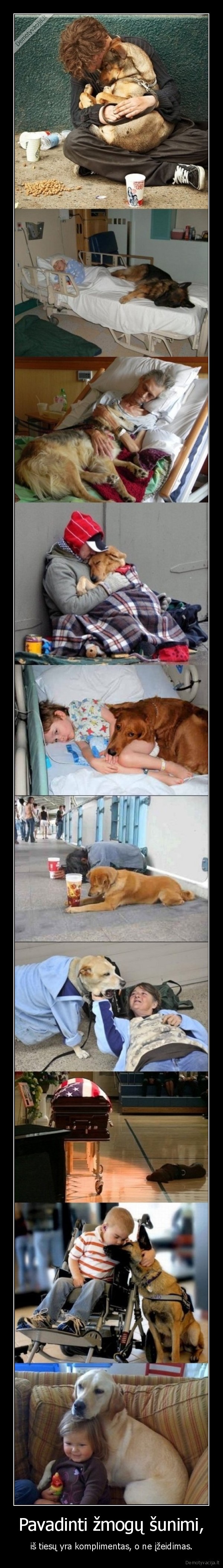 Pavadinti žmogų šunimi,