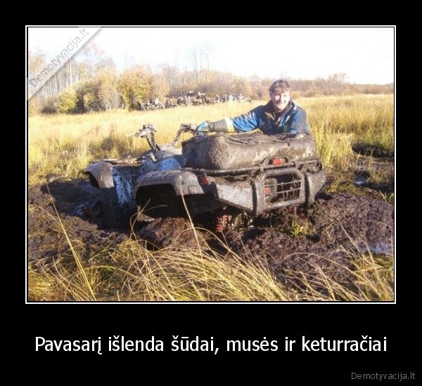 Pavasarį išlenda šūdai, musės ir keturračiai