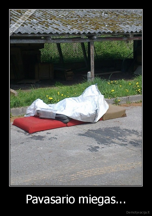 Pavasario miegas...