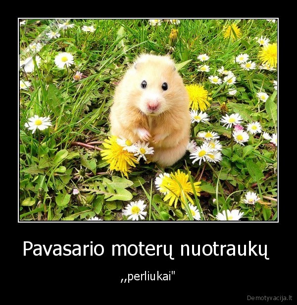 Pavasario moterų nuotraukų 