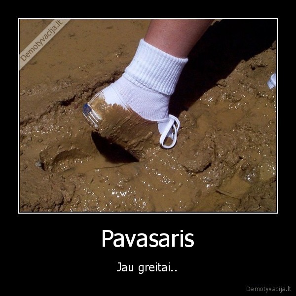 Pavasaris
