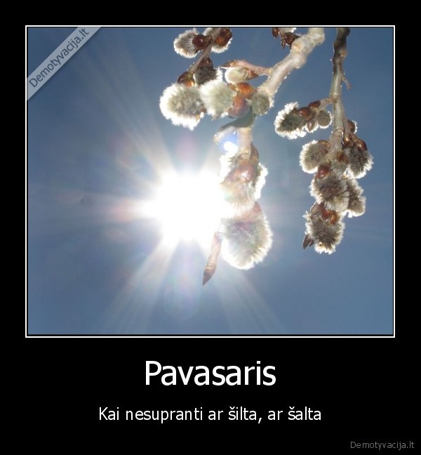 pavasaris,silta,salta,nesuprast