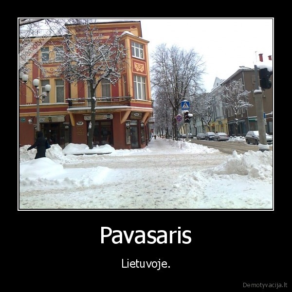 ziema,pavasaris