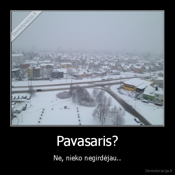 pavasaris, kaune