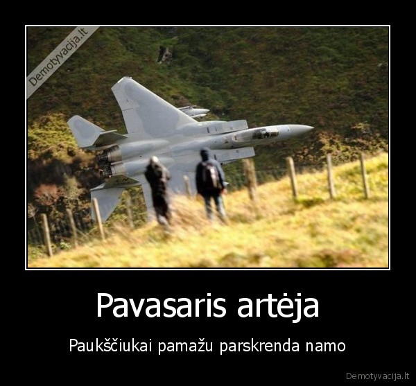 naikintuvas,pavasars