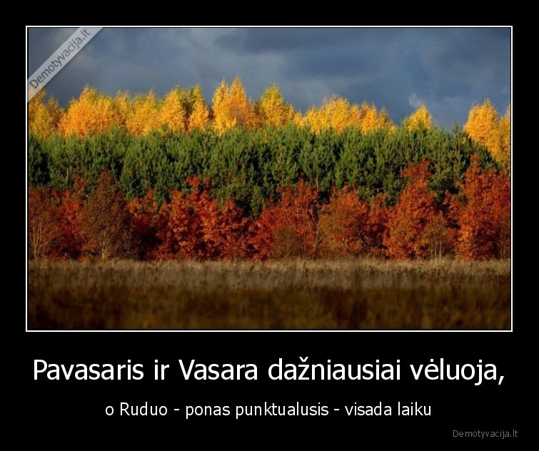 ruduo,medziai,trispalve,metu, laikai