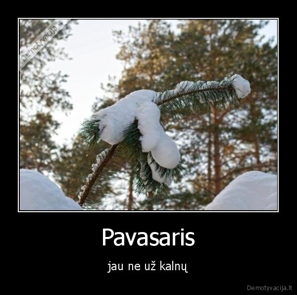 Pavasaris