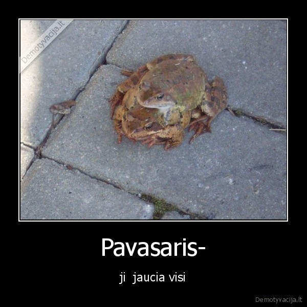 Pavasaris-