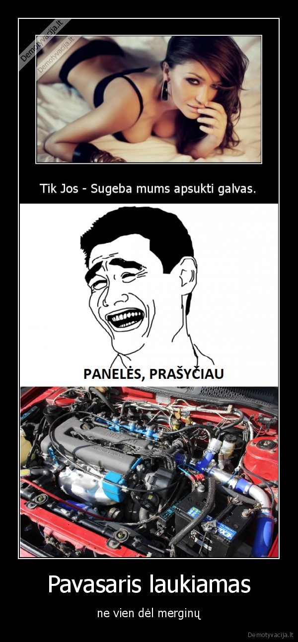 pavasaris, merginos, pasipute