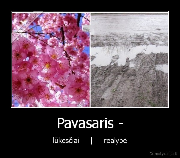 Pavasaris -