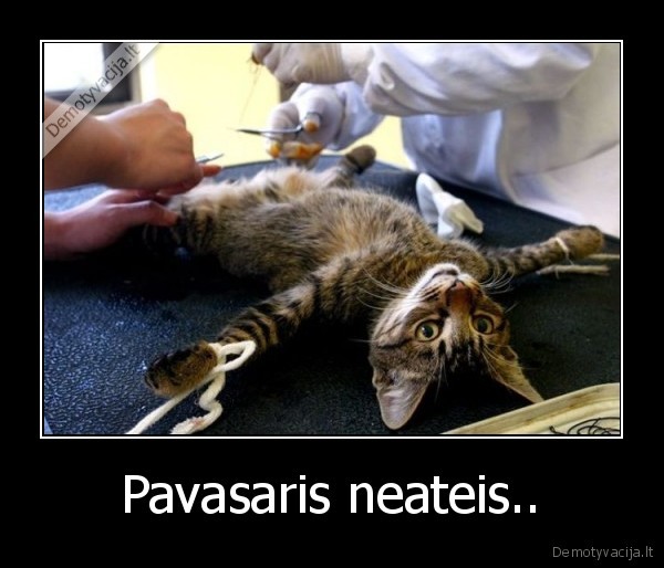 Pavasaris neateis..
