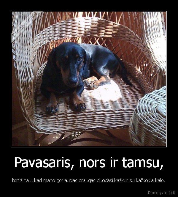 Pavasaris, nors ir tamsu,