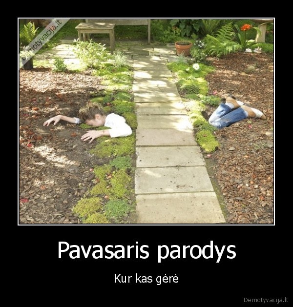 Pavasaris parodys
