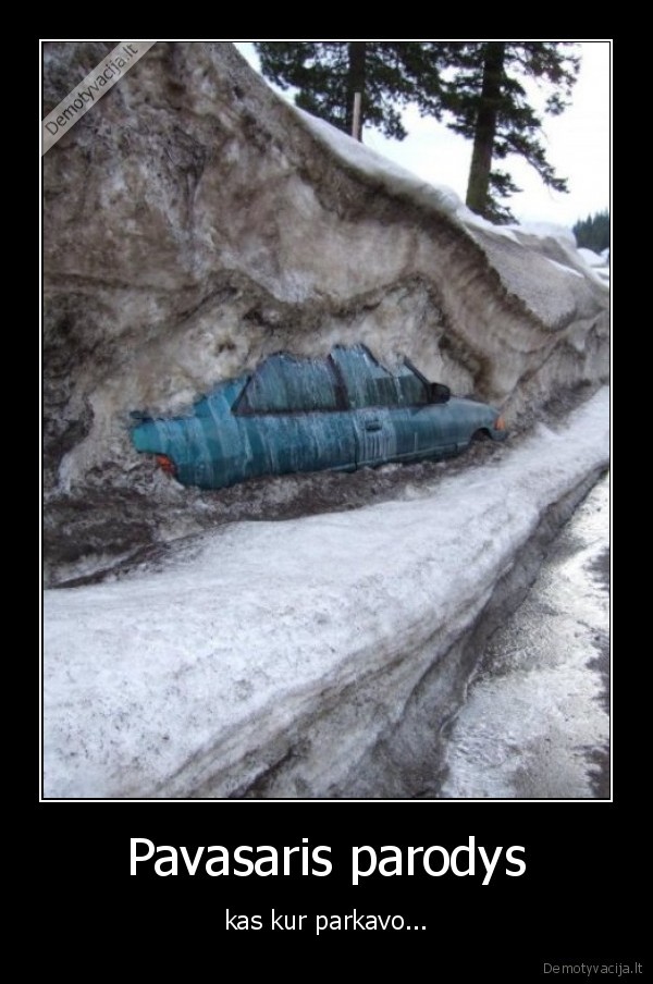 ziema,sniegas,daug, sniego,ziauriai, daug, sniego