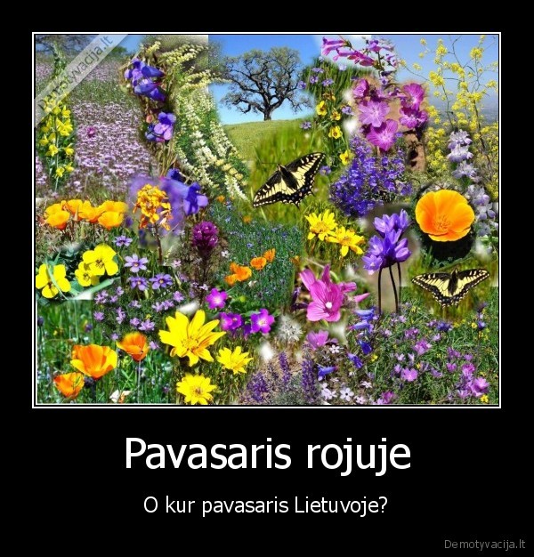 pavasaris