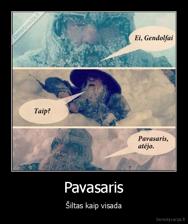 pavasaris,gendolfas,silta,humoras,dialogas,paveiksliukai