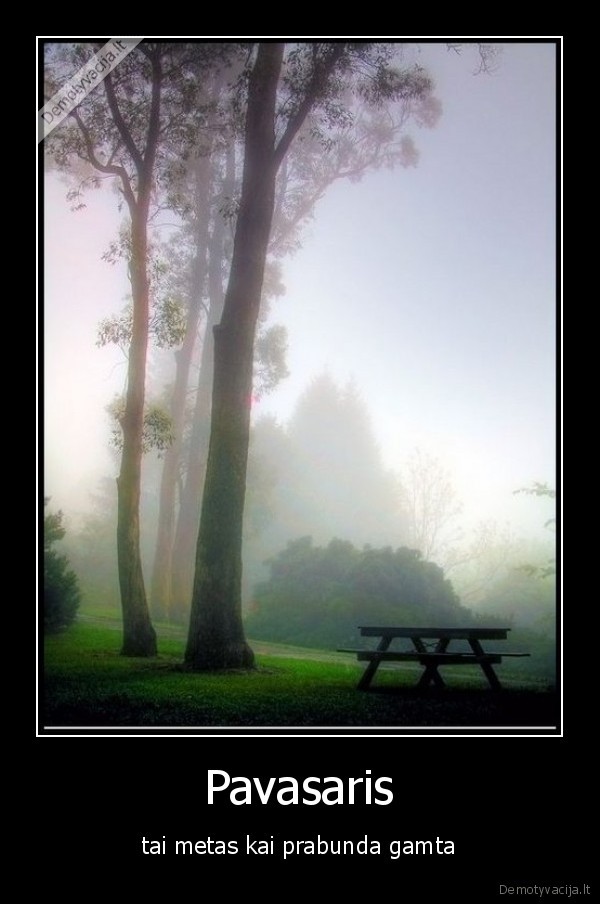 medis,zole,peilis,kalakutas,kubilius