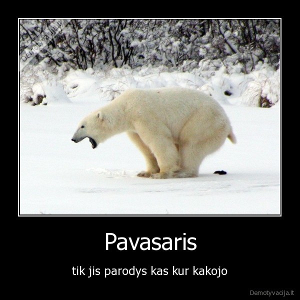 Pavasaris