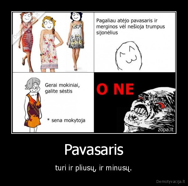 pavasaris,pliusai,minusai