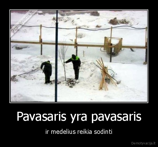 Pavasaris yra pavasaris