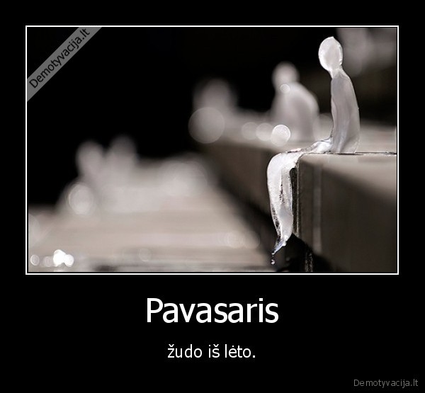 pavasaris,ziema,ledas,atsilimas,vanduo,zudymas