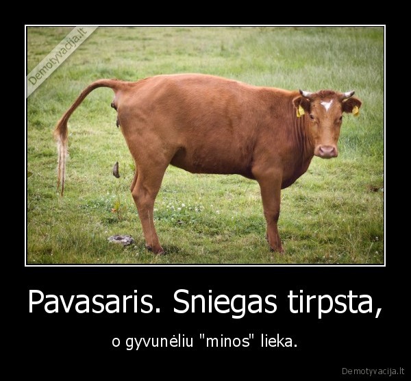 gyvunai,pavasaris,kaka