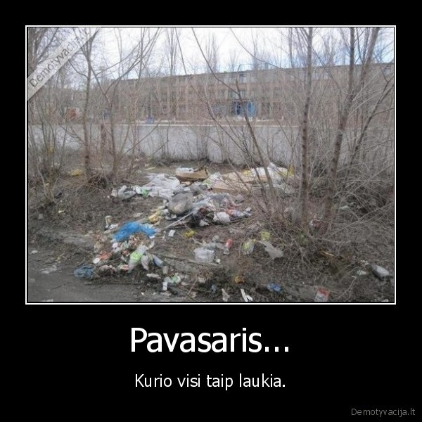 pavasaris,siuksles,laukia