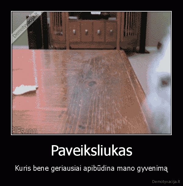 gyvenimo, pastangos,bevaises, pastangos