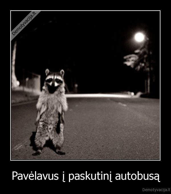 paveluoti, i, autobusa,paskutinis, autobusas,paskutinis, troleibusas