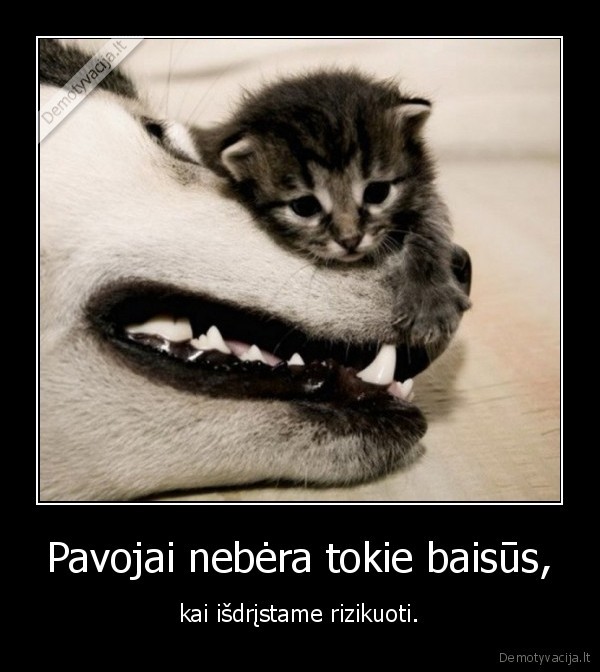 pavojai,drasa,rizika