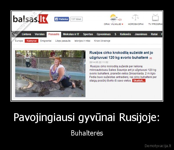 buhaltere,juokinga, naujiena,krokodilas